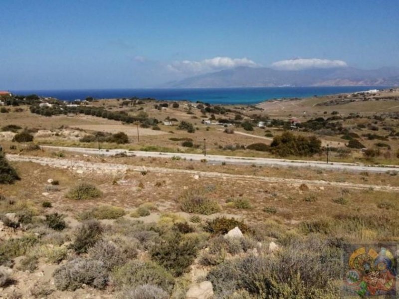 Pitsidia, Süd Kreta Pitsidia, Baugrundstück ca. 2337m² mit Meer- und Bergblick Grundstück kaufen